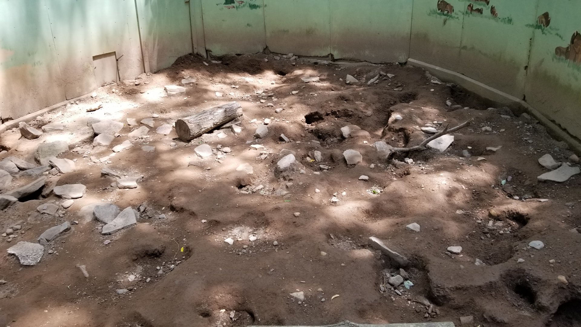 Claws N Paws - Badger exhibit