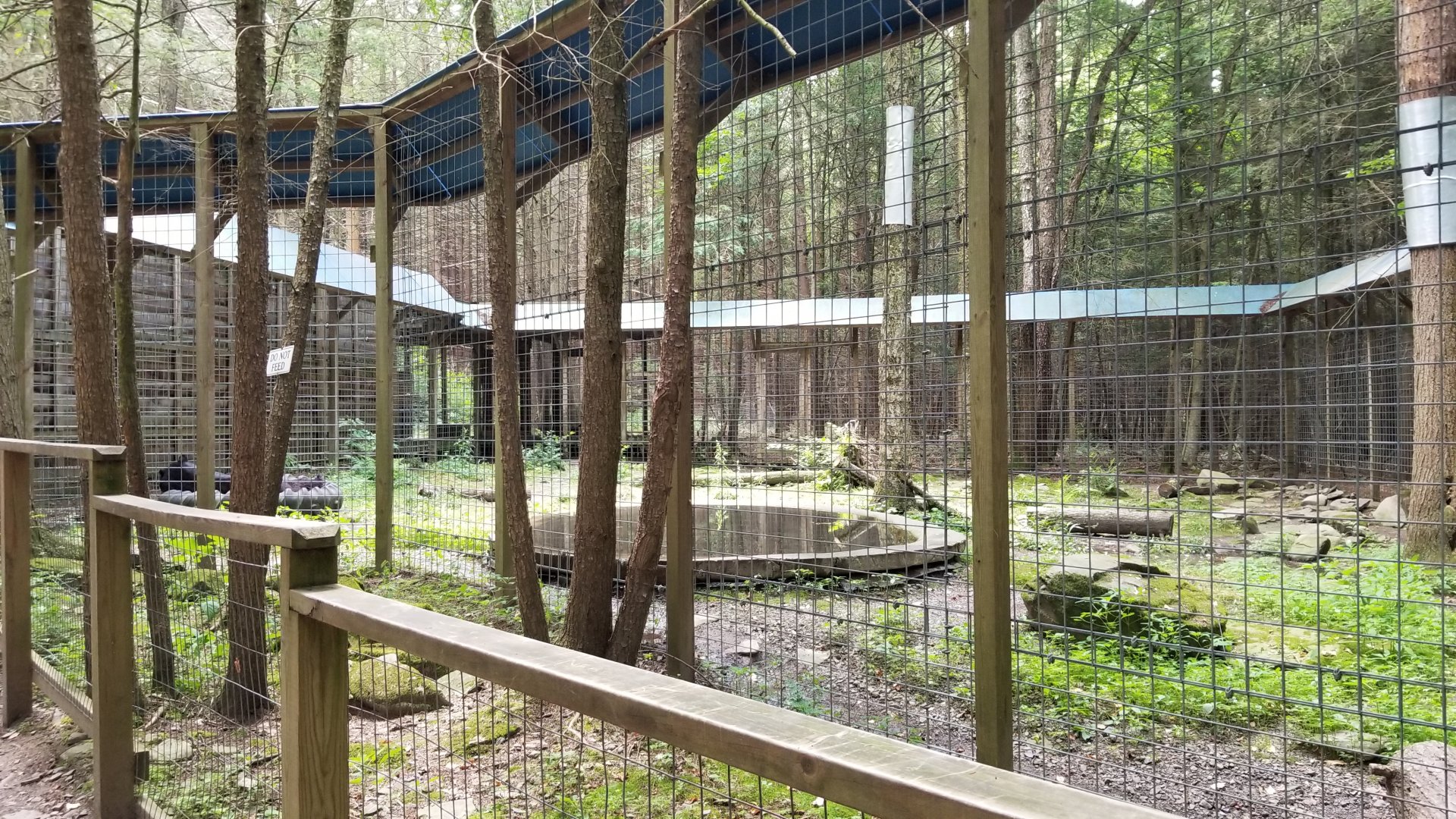 Claws N Paws - Black bear exhibit