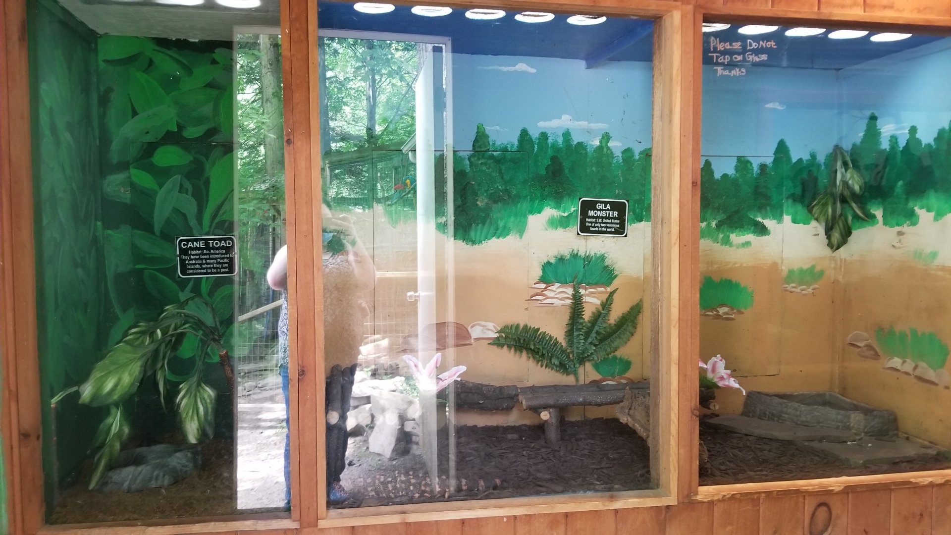 Claws N Paws - Cane Toad, Gila Monster