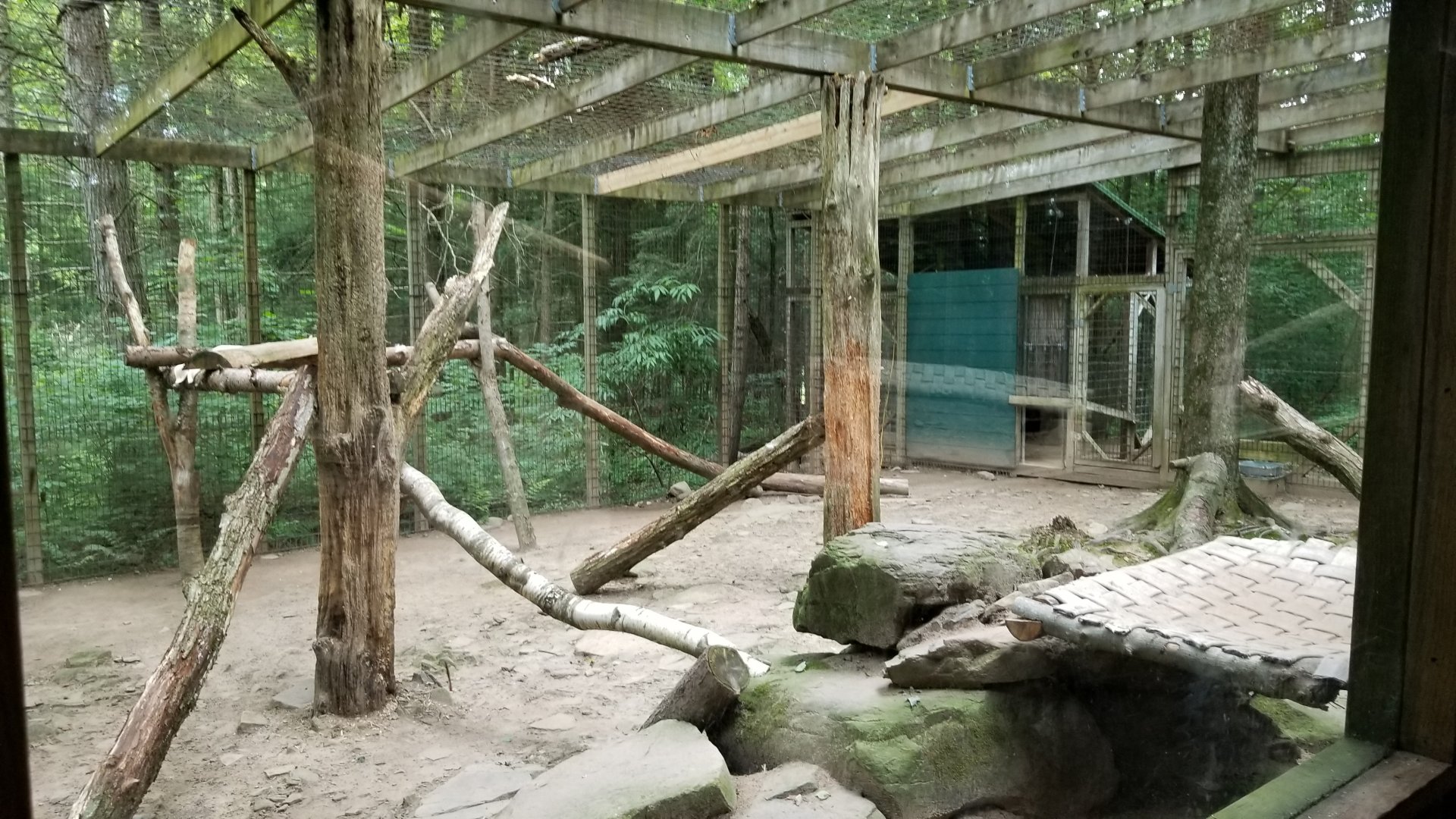 Claws N Paws - Cougar exhibit