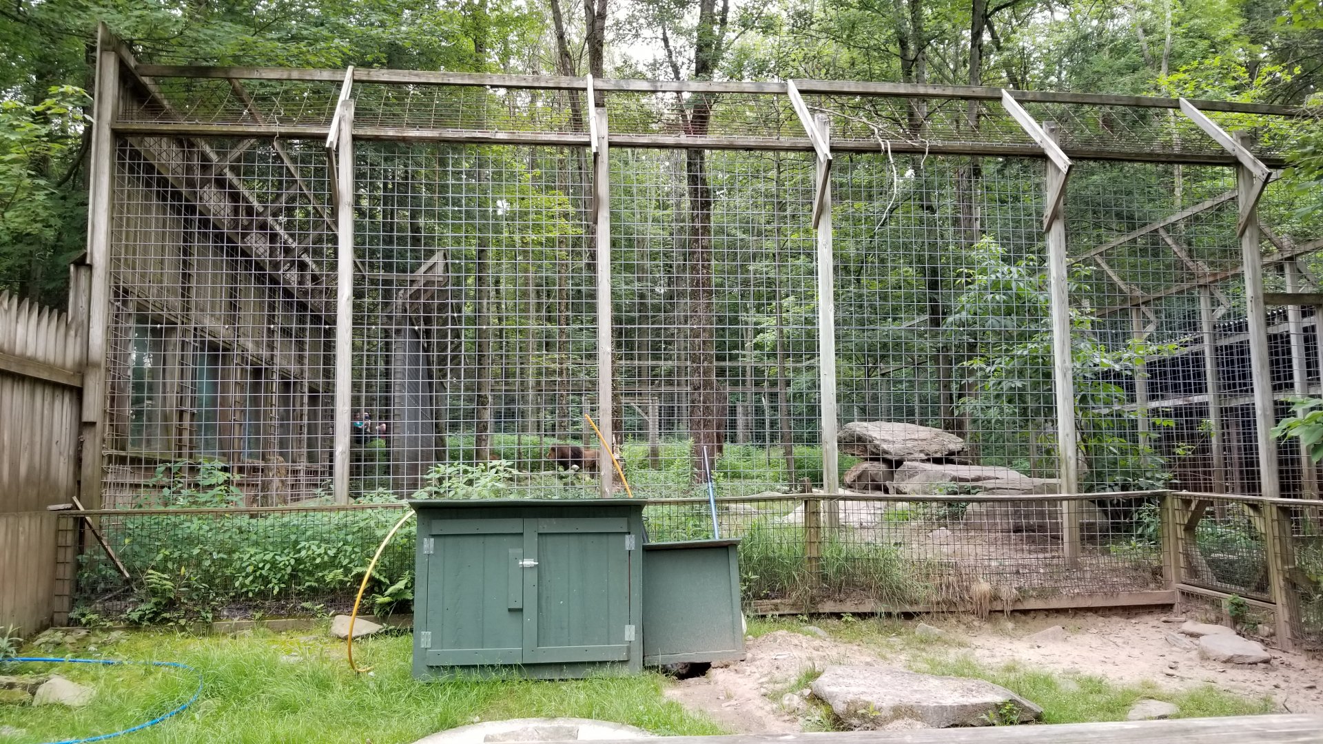 Claws N Paws - End of Lion building