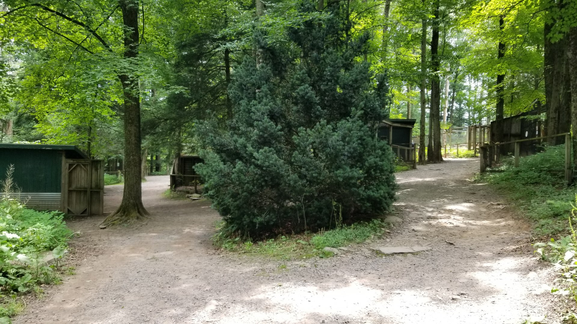 Claws N Paws - entrance/exit for alligator loop