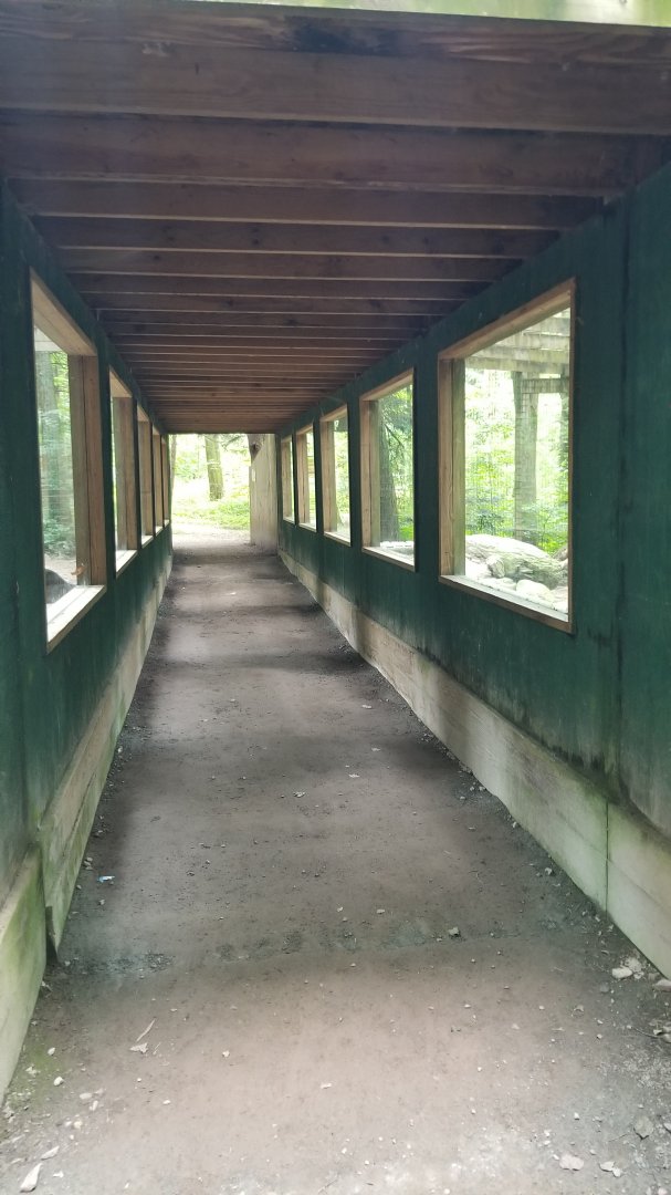 Claws N Paws - Glass viewing for leopards, cougar