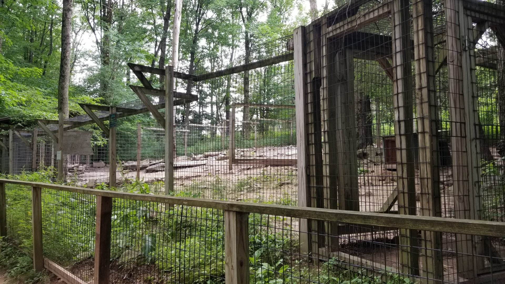 Claws N Paws - Jackals (black backed? didn't see)