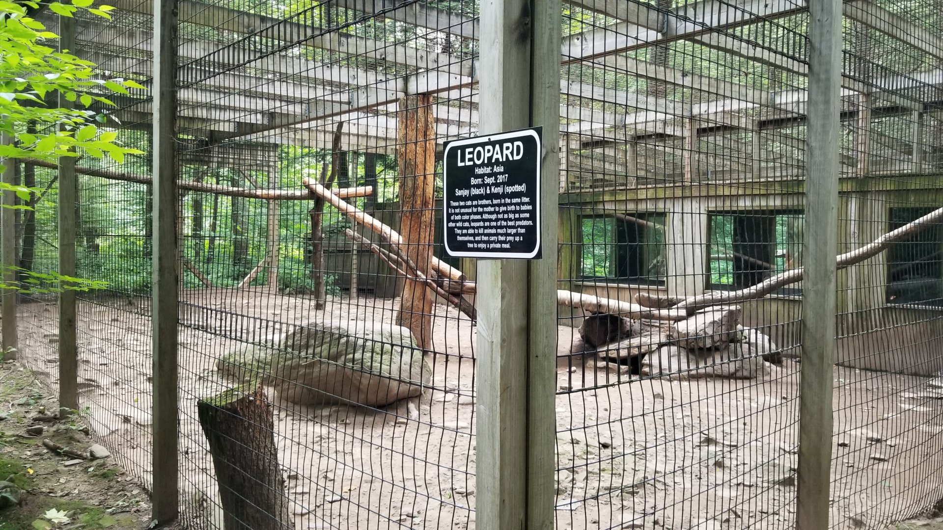 Claws N Paws - Leopard exhibit