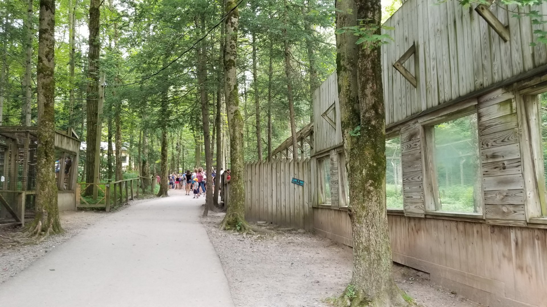 Claws N Paws - Line for giraffe feeding; lions on right