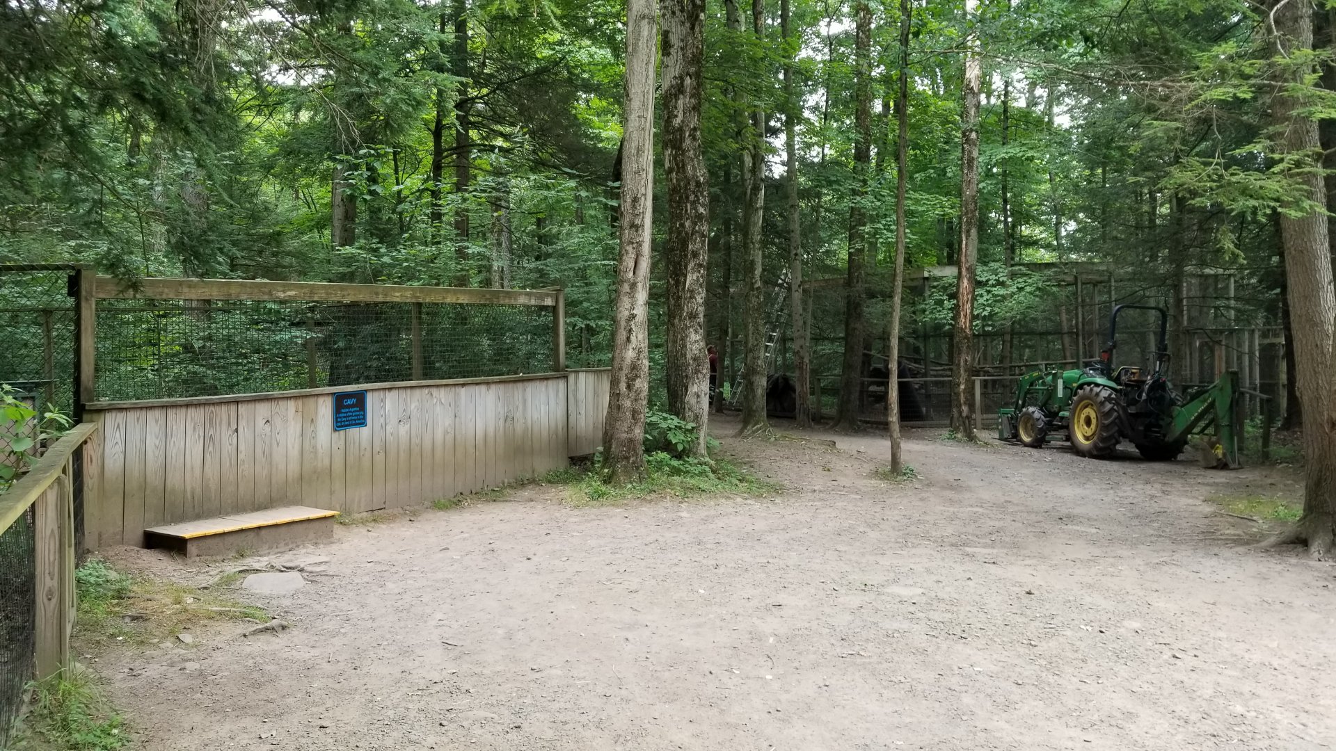Claws N Paws - Mara on left, Eurasian Eagle Owl on right (being fixed)