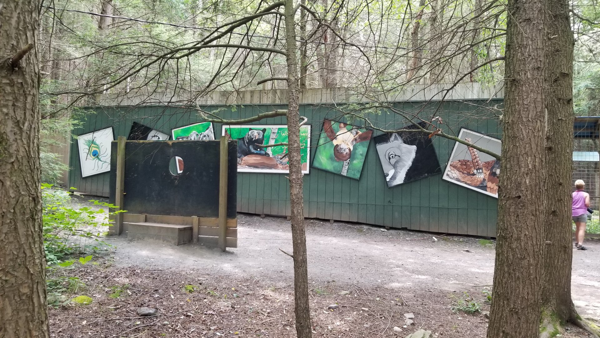 Claws N Paws - Mural