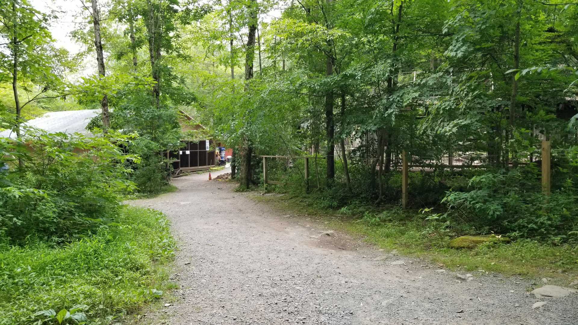 Claws N Paws - Path back to presentation building