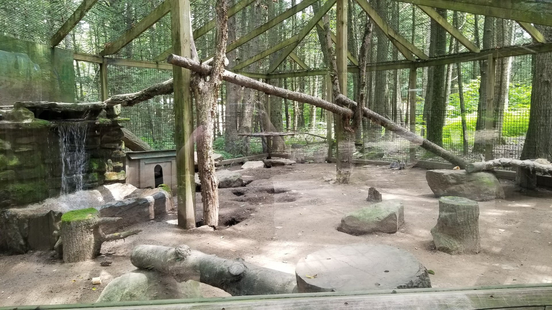 Claws N Paws - Red fox exhibit