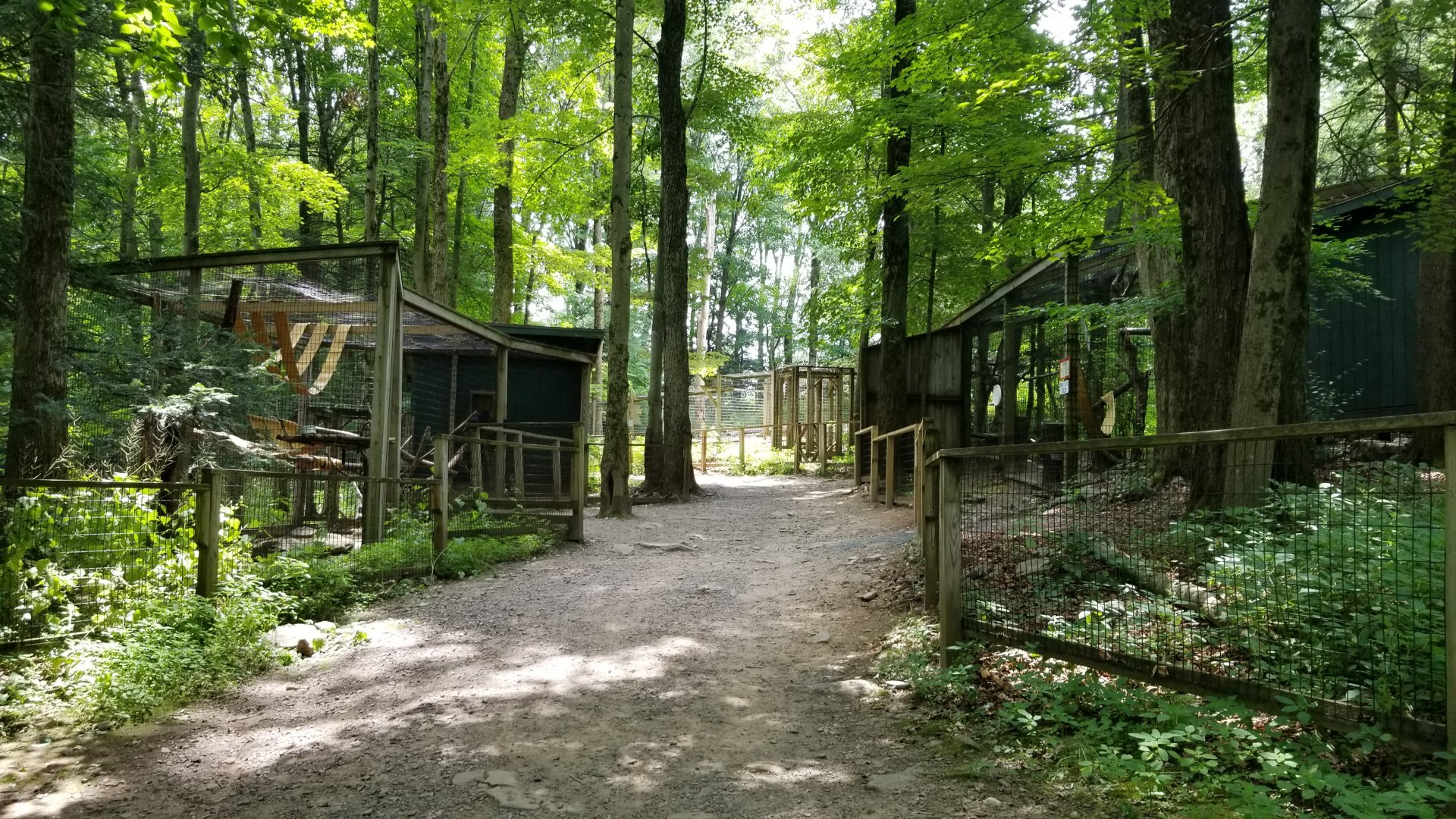 Claws N Paws - Right side of loop