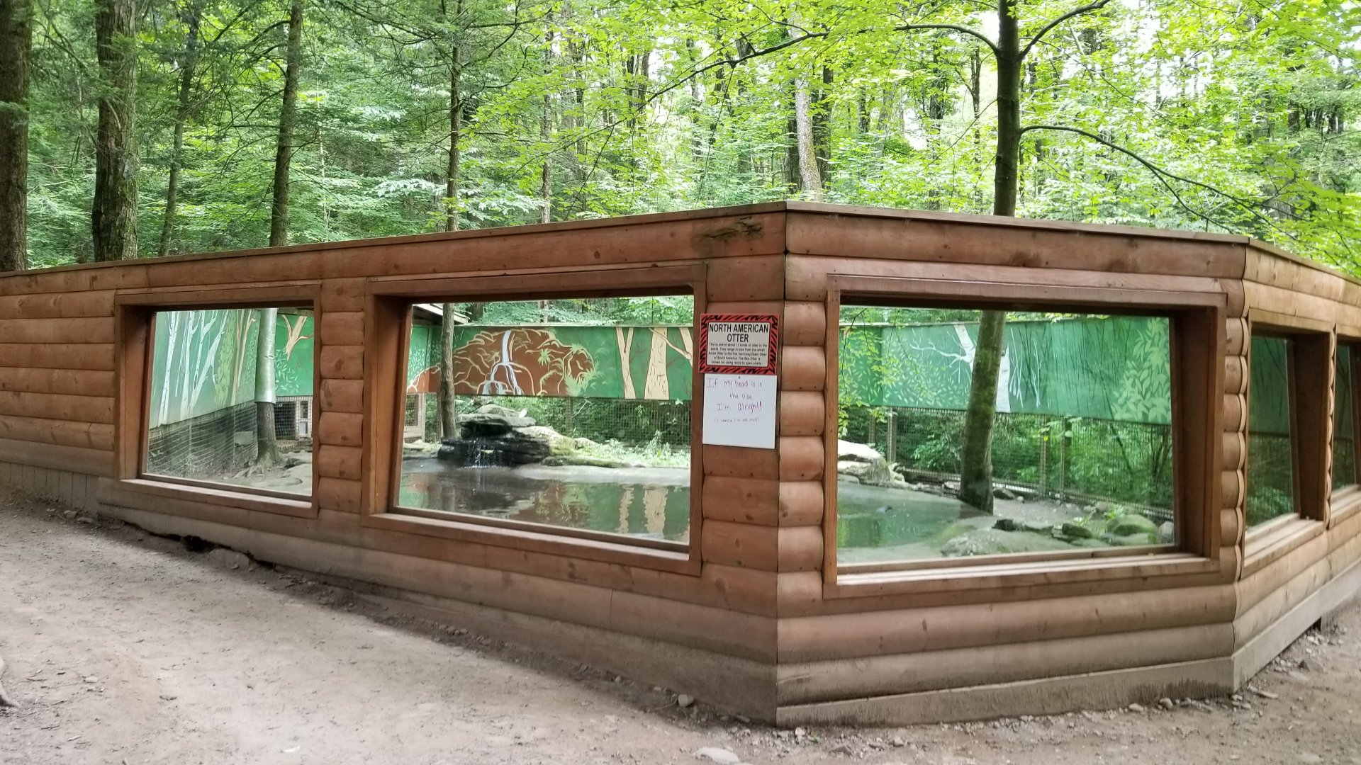 Claws N Paws - River otters