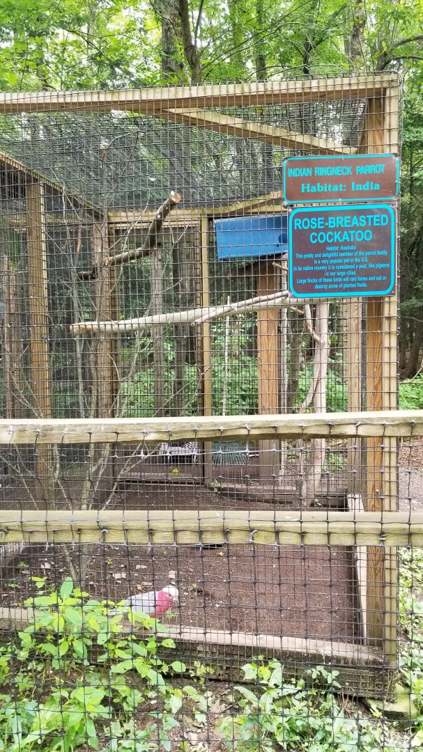 Claws N Paws - Rose-breasted Cockatoo, Indian Ringneck (blue)