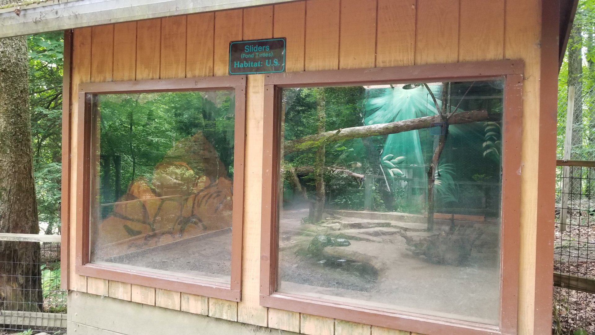 Claws N Paws - "Sliders"