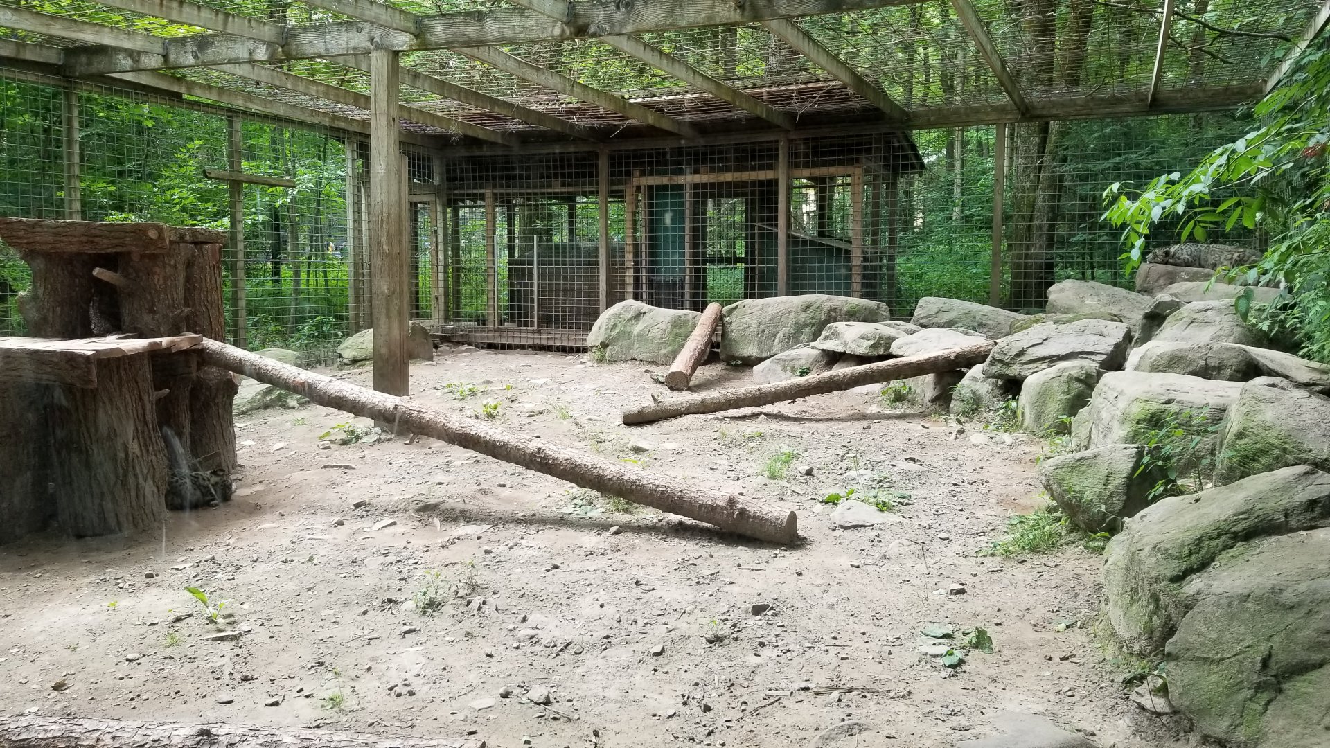 Claws N Paws - Snow Leopard exhibit #1