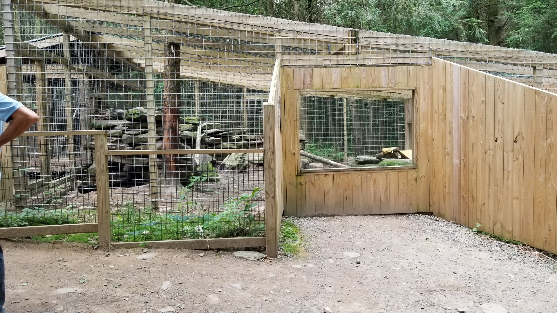 Claws N Paws - Snow Leopard exhibit #3