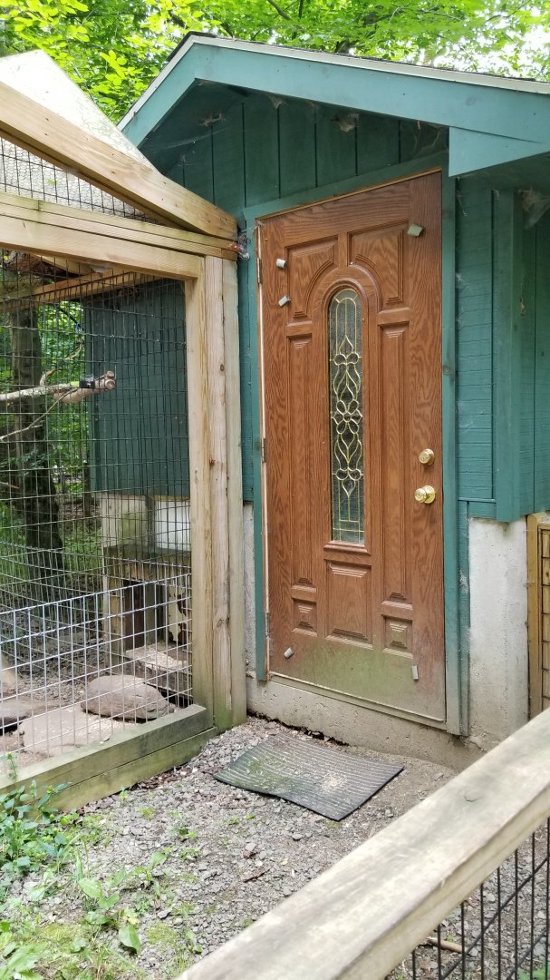 Claws N Paws - The porcupines have a front door