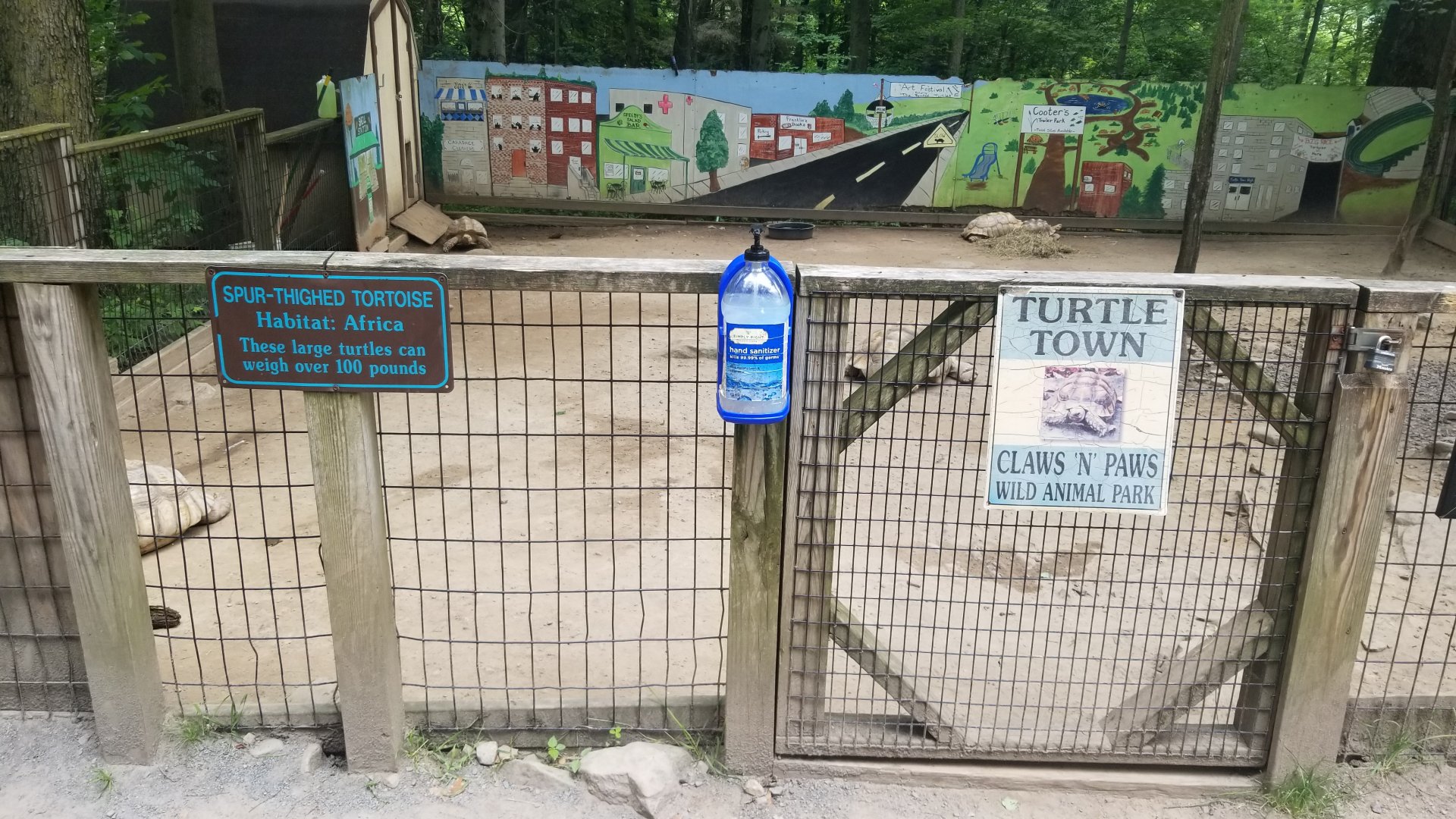 Claws N Paws - Turtle Town