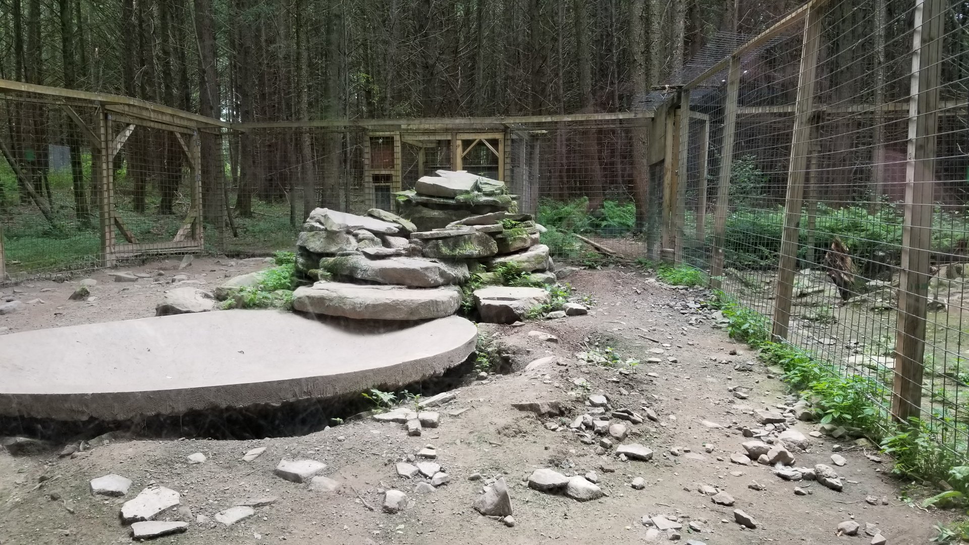 Claws N Paws - Wolf exhibit, left side