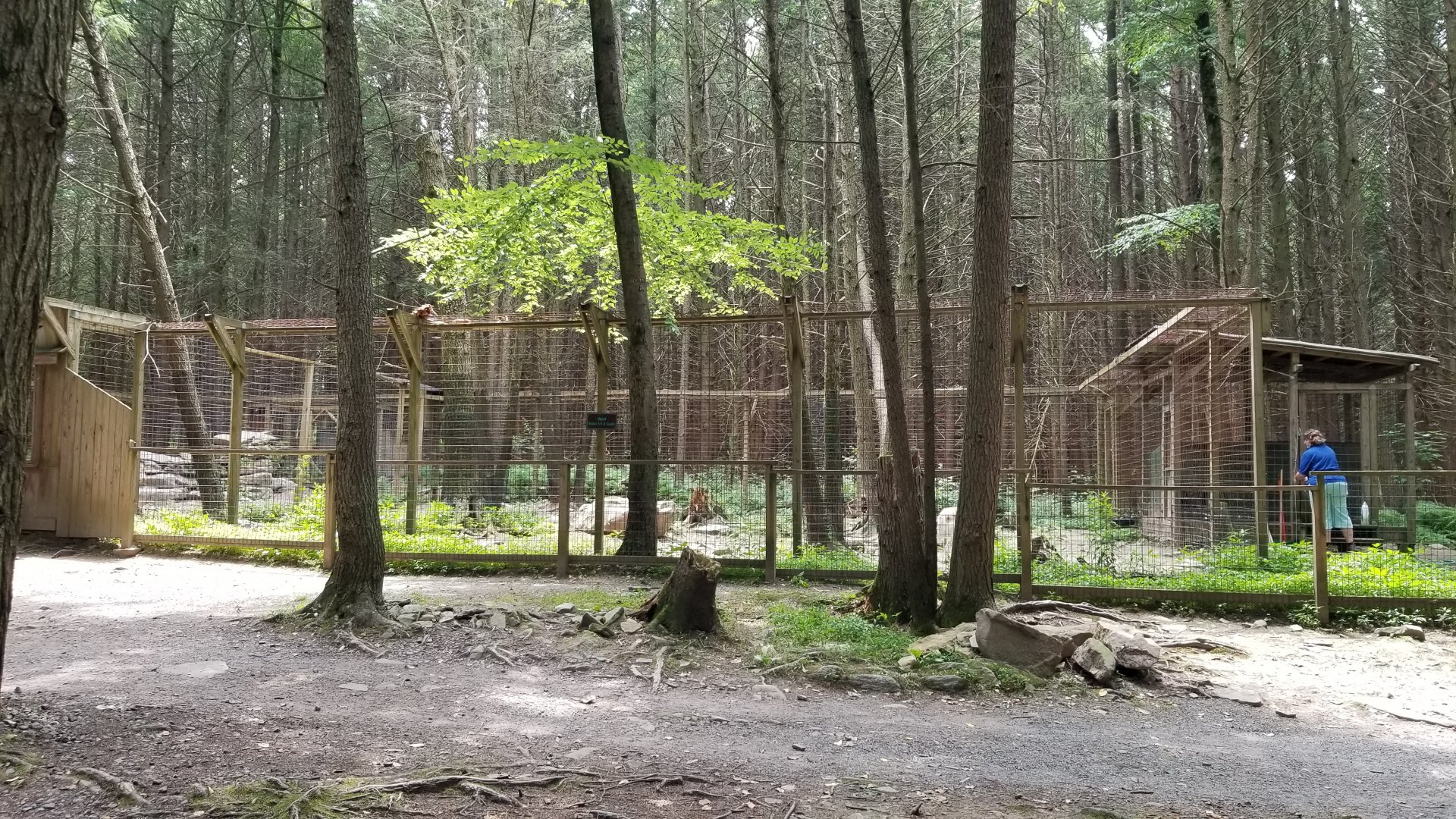 Claws N Paws - Wolves