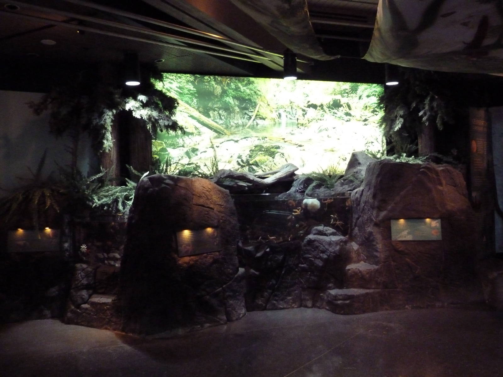 Clayoquot Sound Exhibit