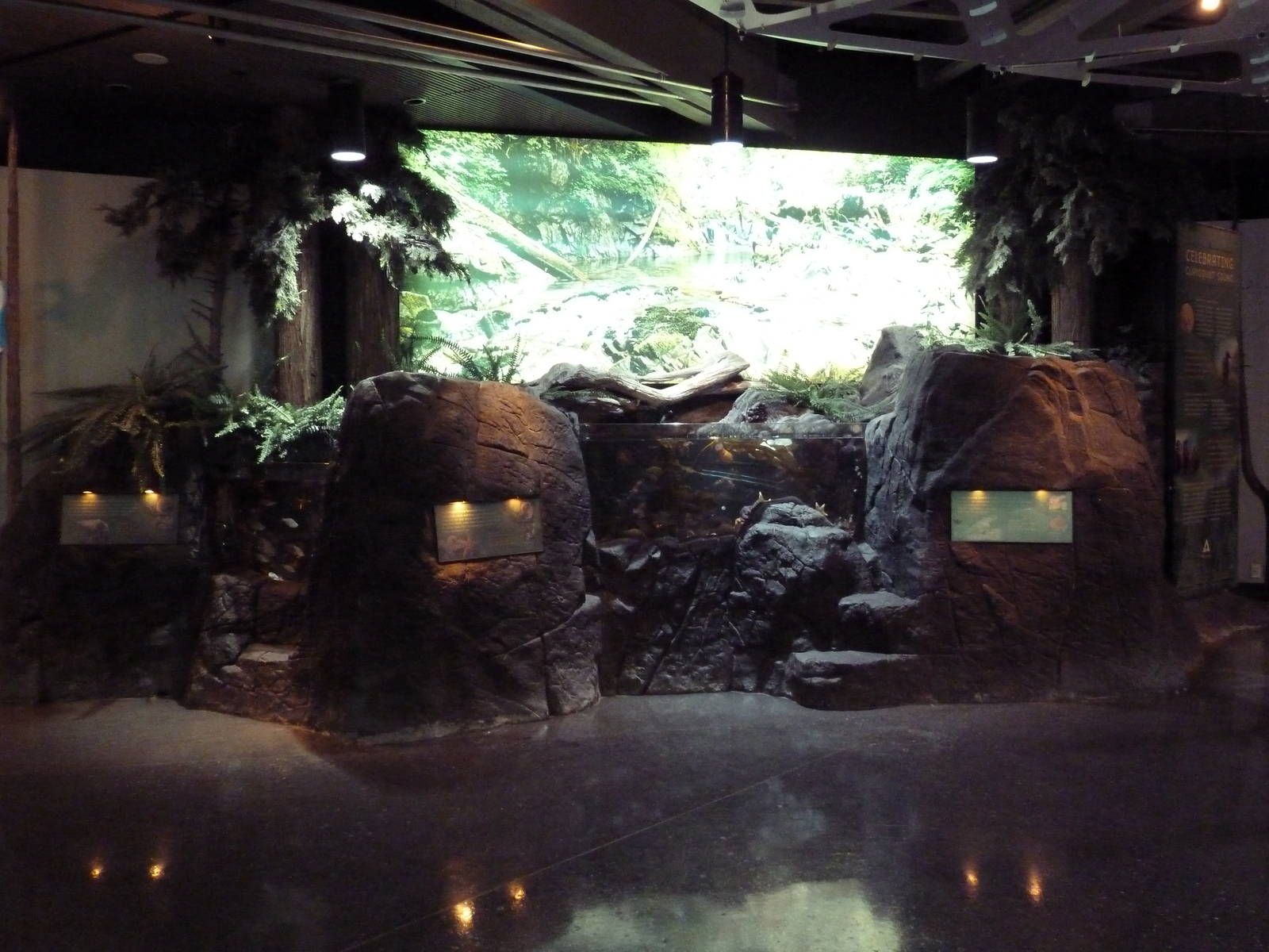 Clayoquot Sound Exhibit