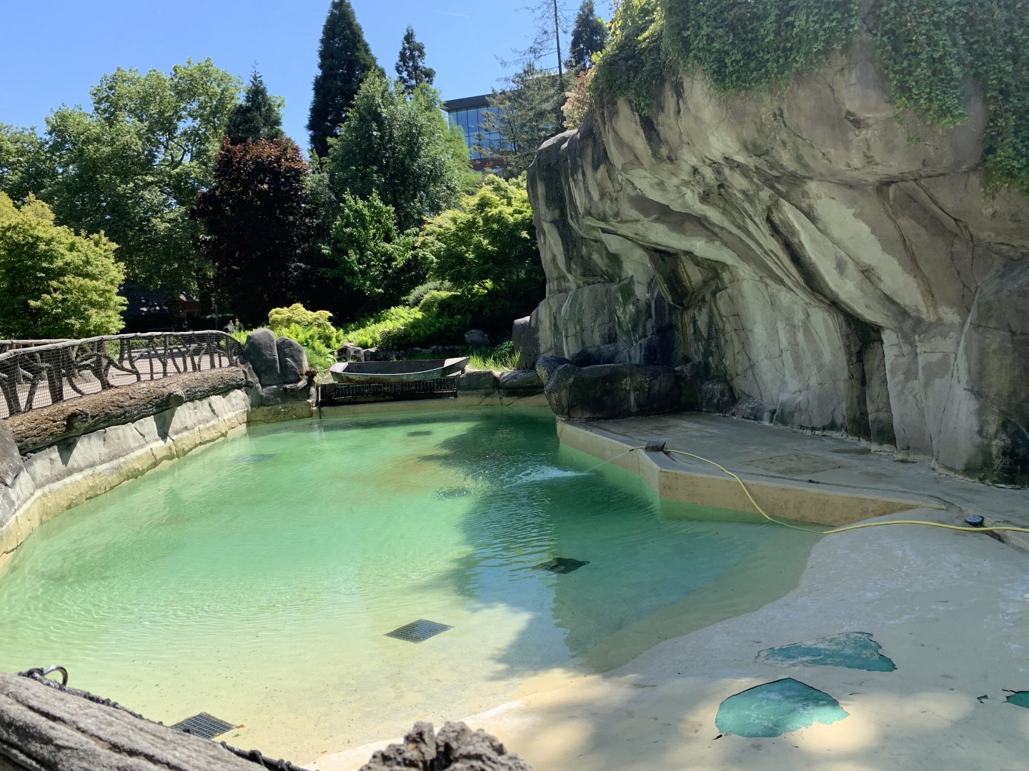 Cleaned and filled pool, home to harbour seals soon