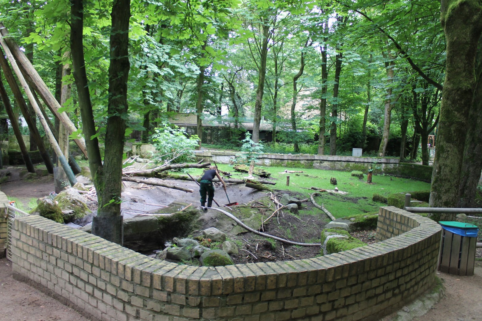 Cleaning Beaver-outdoor-enclosure