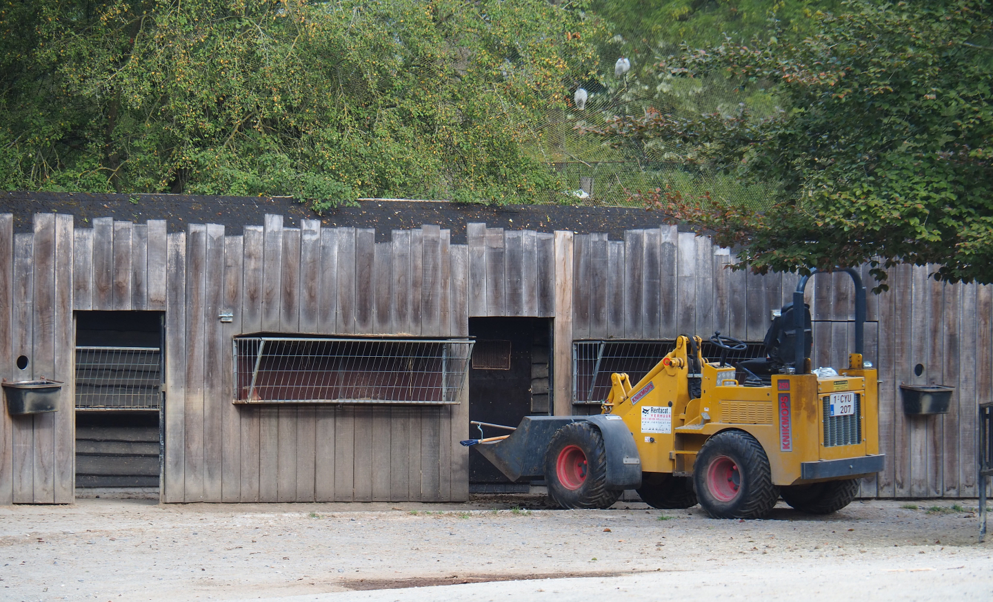 Cleaning of the Pzewalski's horse holding areas, 2020-08-15