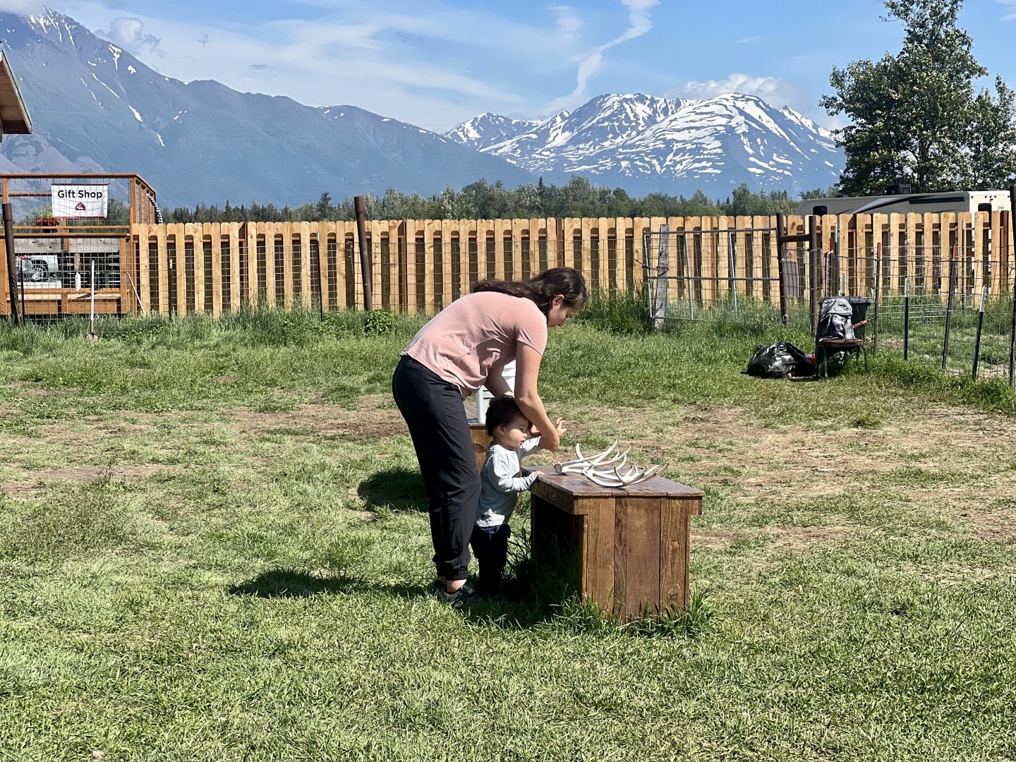 Cleaning station, Knik Glacier in background