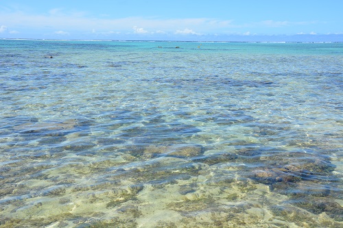 Clear waters and coral.  Rarotonga