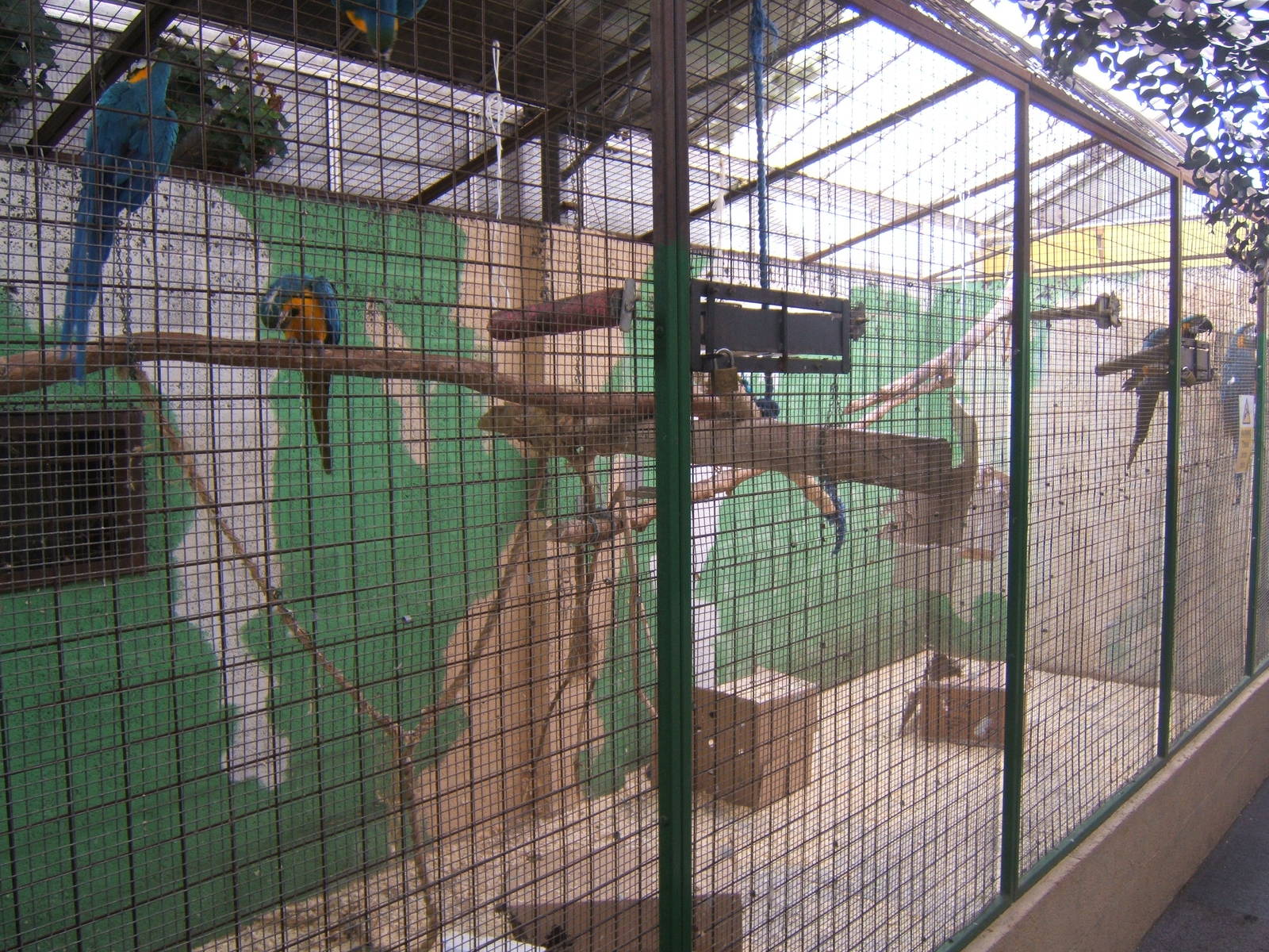 Cleethorpes The Jungle