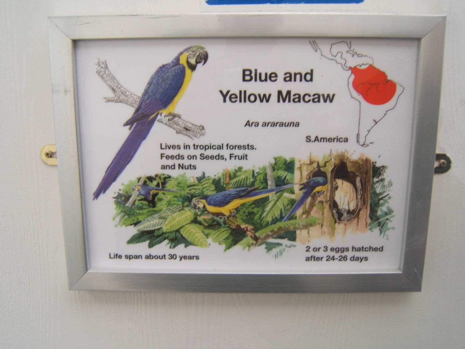 Cleethorpes The Jungle