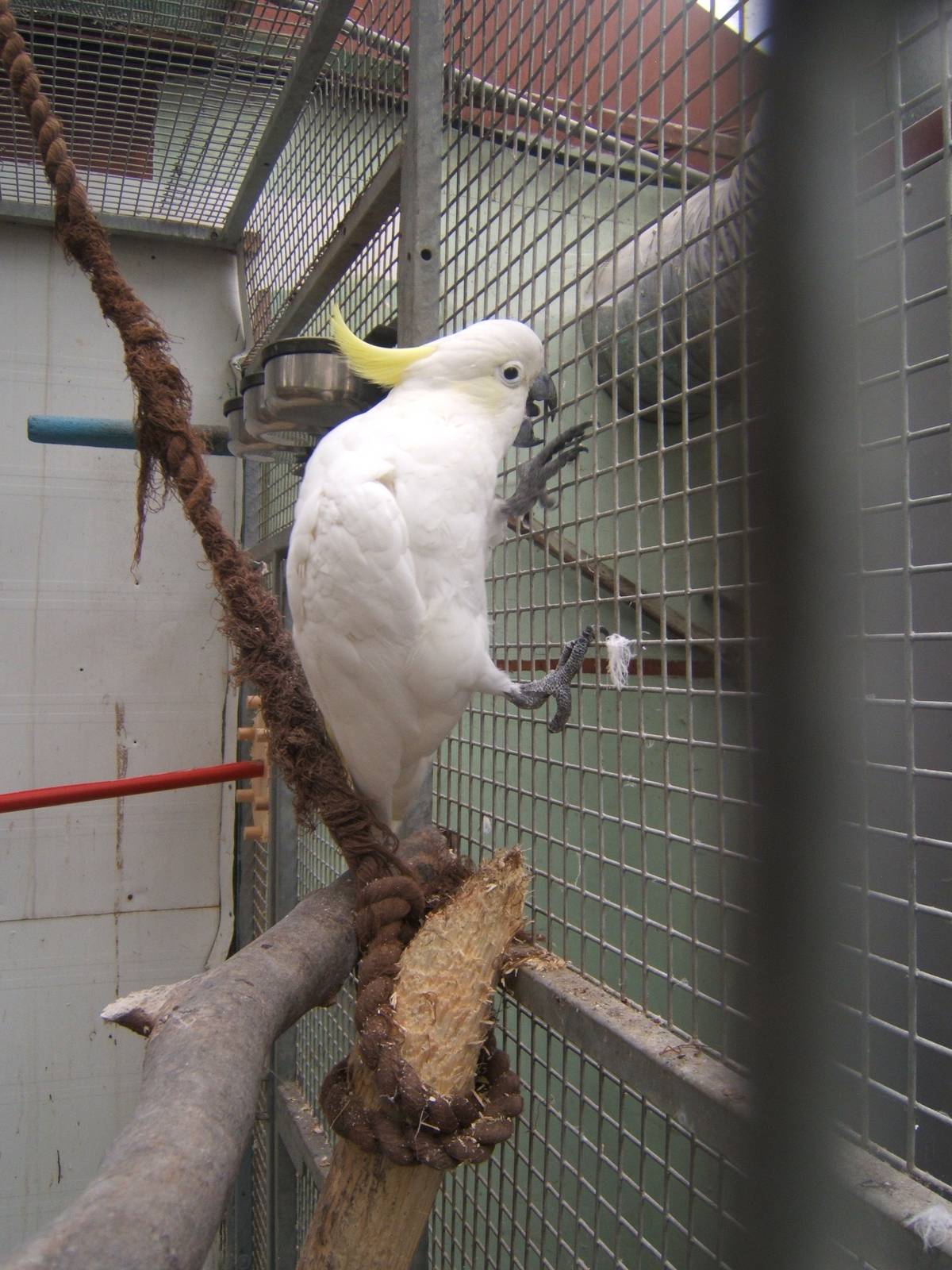 Cleethorpes The Jungle