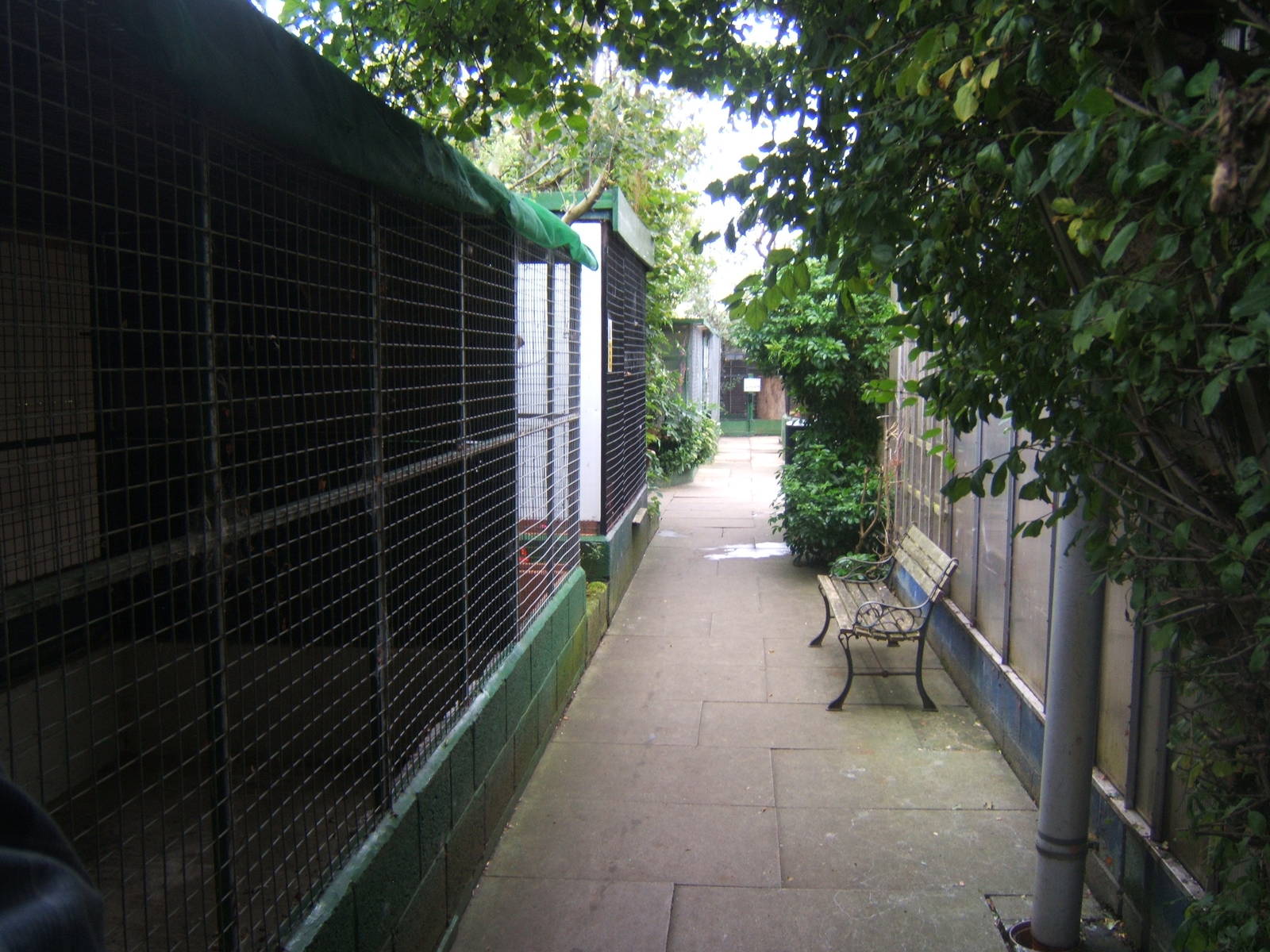 Cleethorpes The Jungle