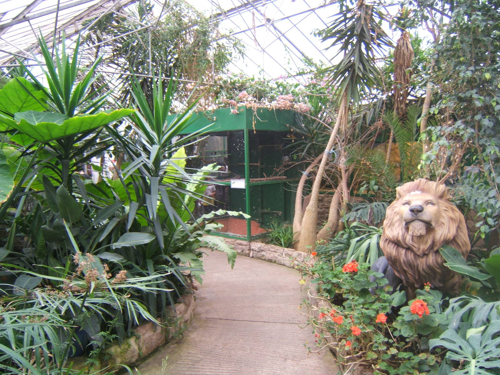 Cleethorpes The Jungle