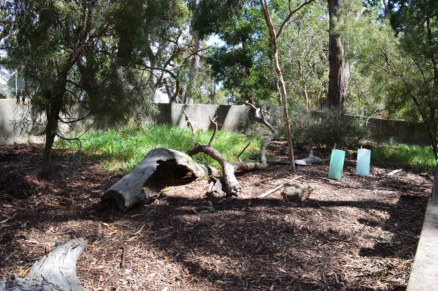 Cleland- Echidna Enclosure