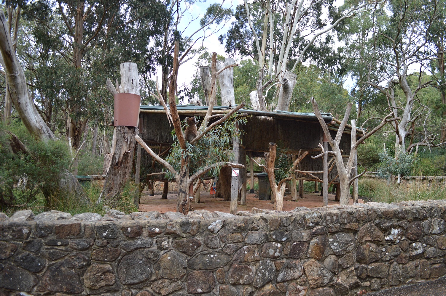 Cleland- Koala Enclosure