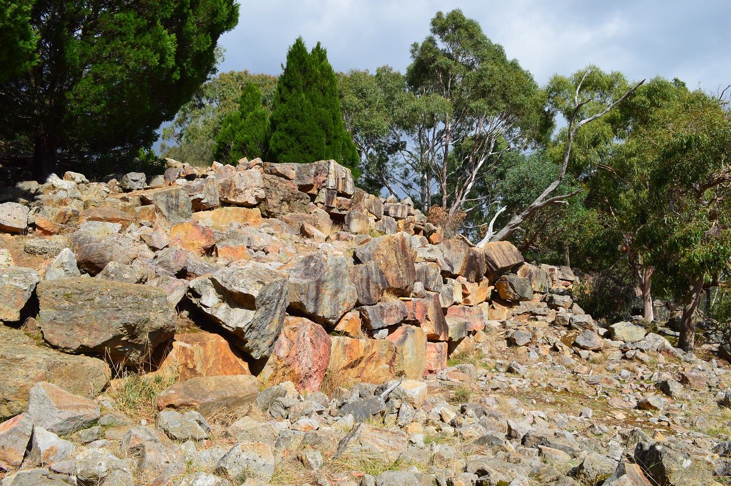 Cleland- Yellow Foot Walkthrough 2