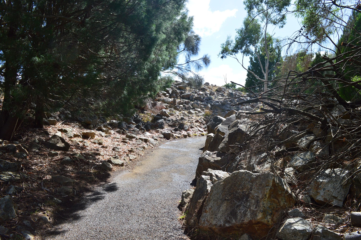 Cleland- Yellow Footed Walkthrough 1