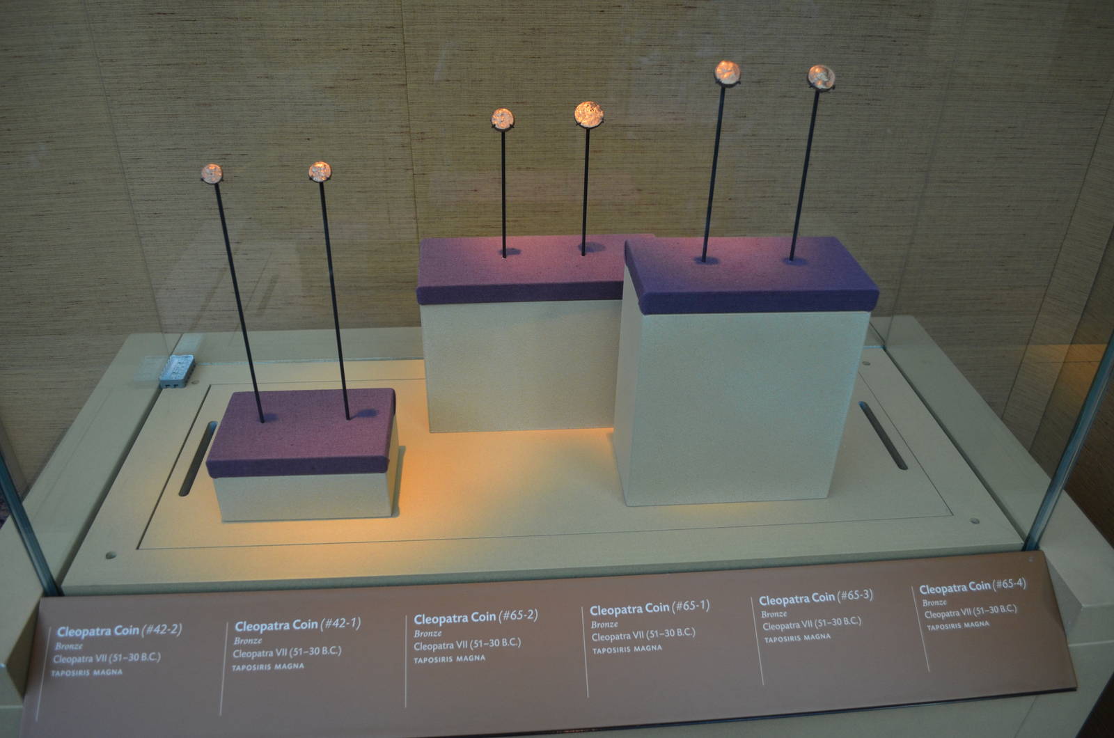 Cleopatra: The Exhibition - Coins