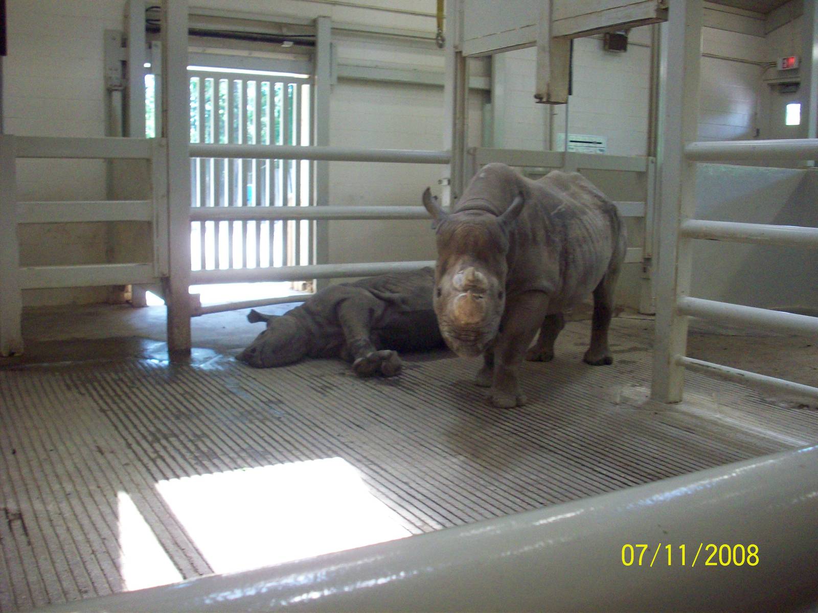 Cleveland Metroparks Zoo