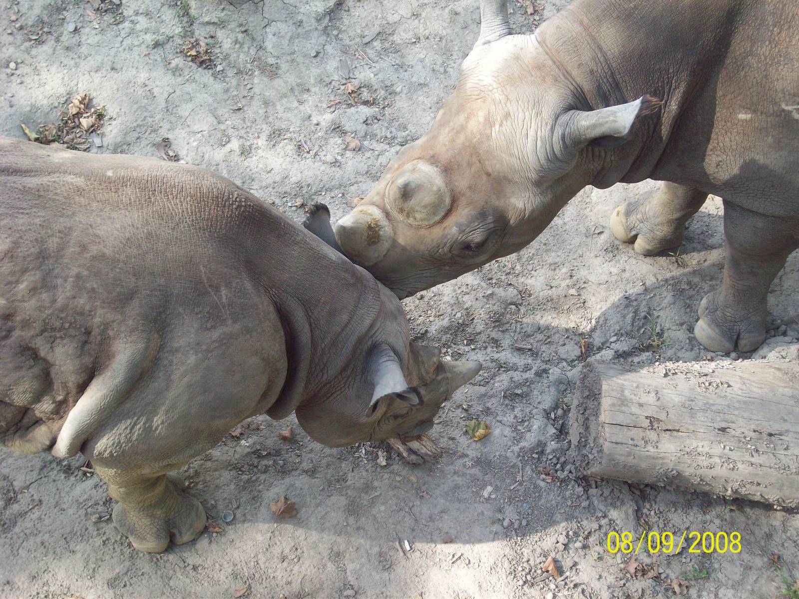 Cleveland Metroparks Zoo