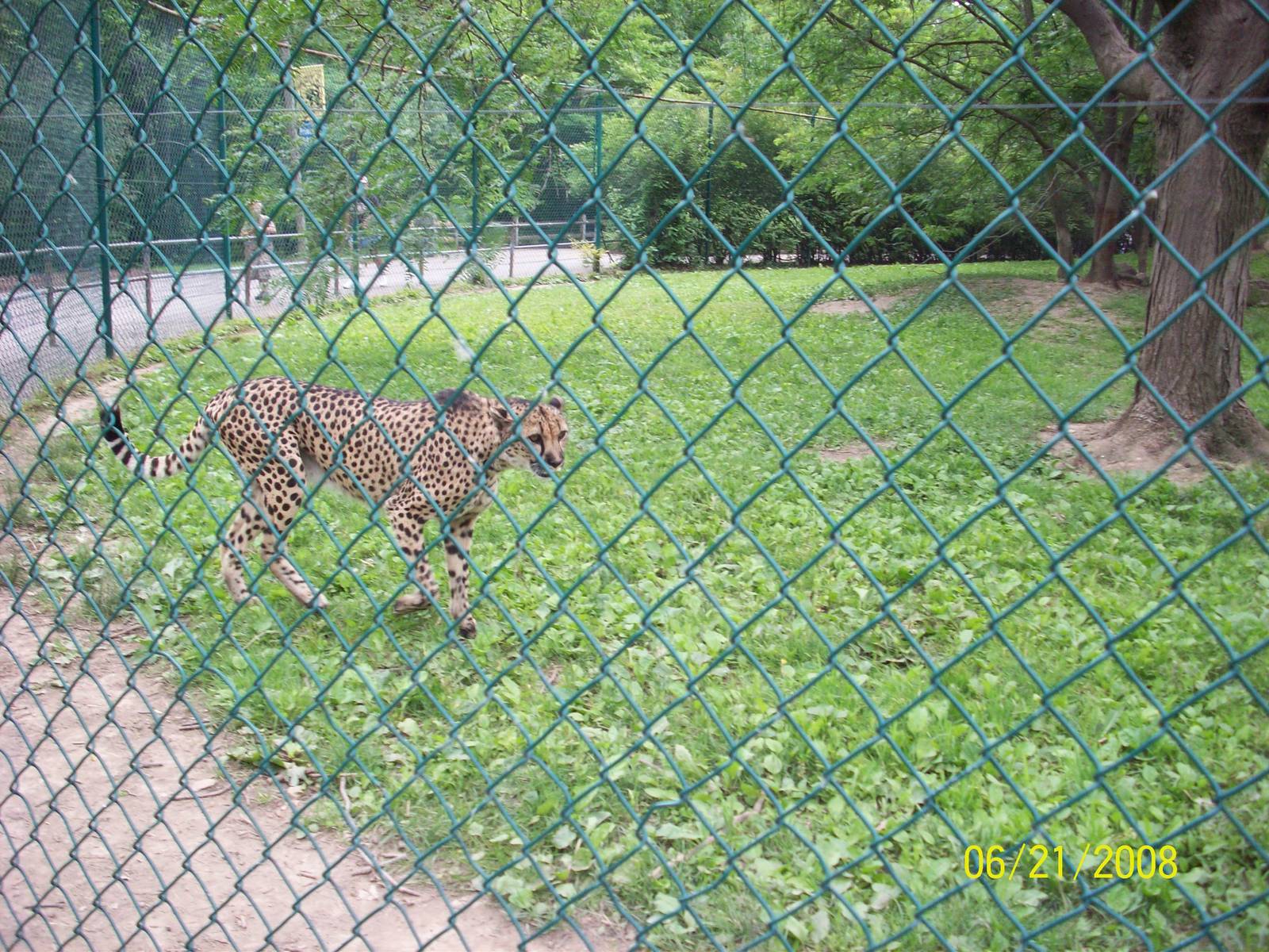 Cleveland Metroparks Zoo
