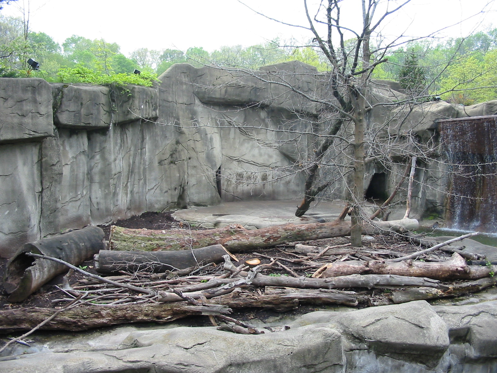 Cleveland Zoo 2003 - Bear exhibit in the Northern Trek
