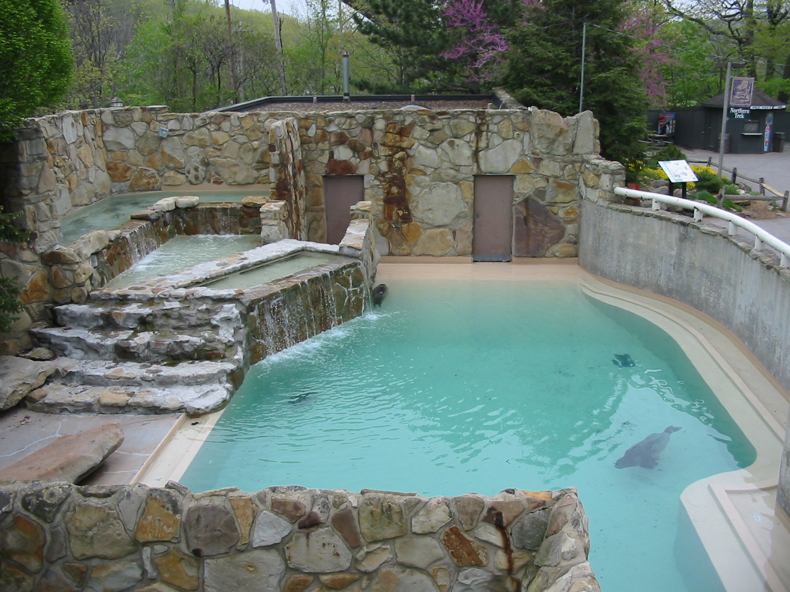 Cleveland Zoo 2003 - California Sea Lion pool in the Northern Trek