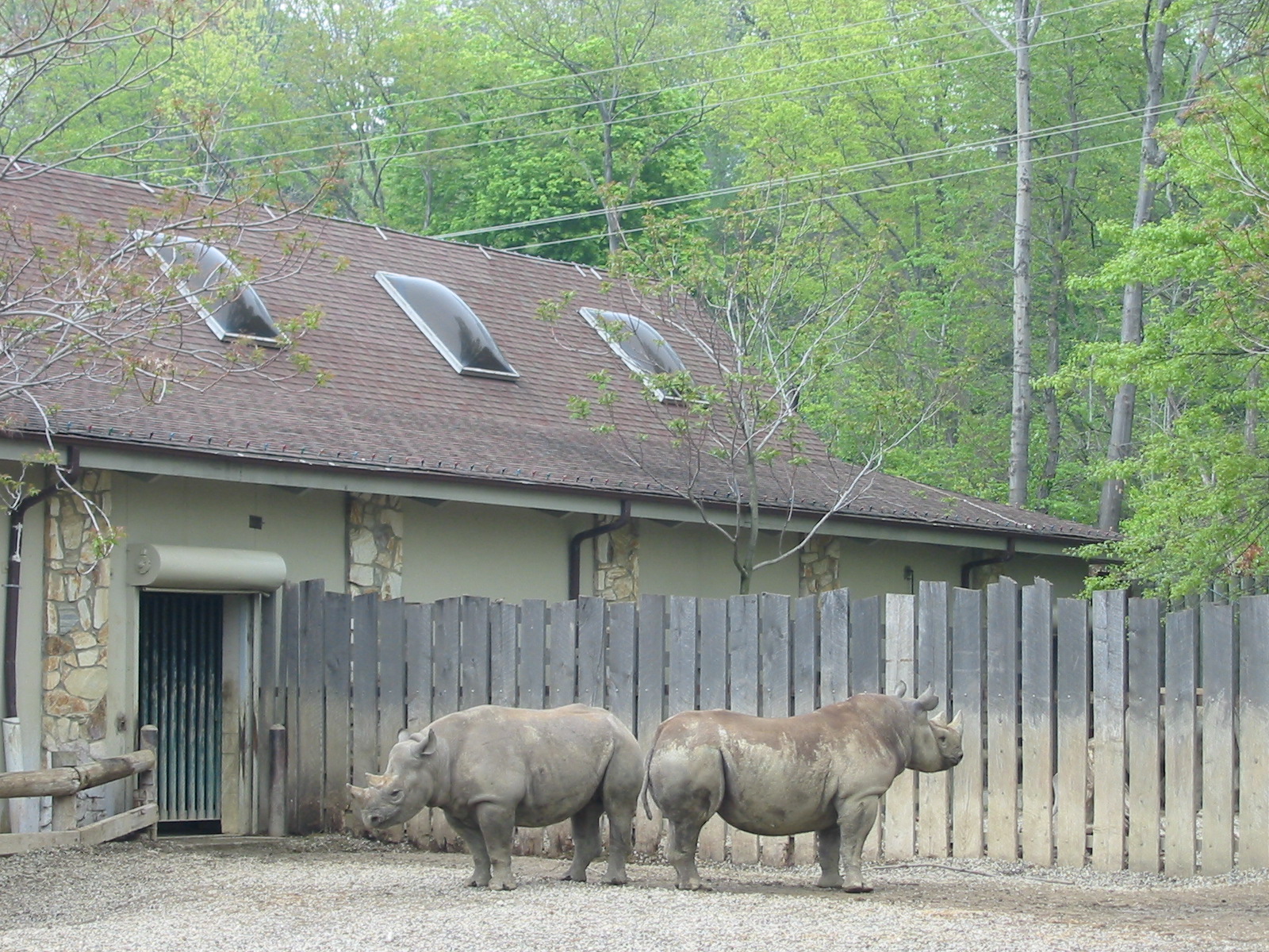Cleveland Zoo 2003 - Part of the Black Rhinoceros exhibit