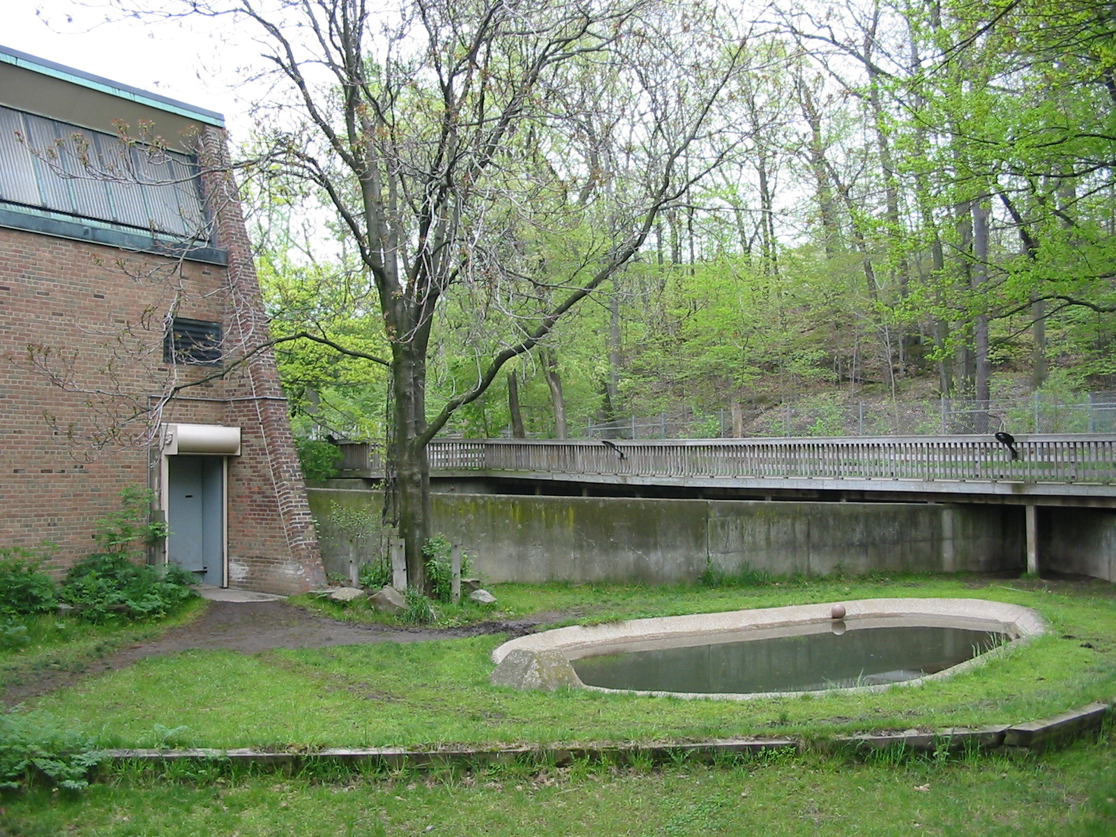 Cleveland Zoo 2003 - Pigmy Hippo and Kirks Dik Dik exhibit
