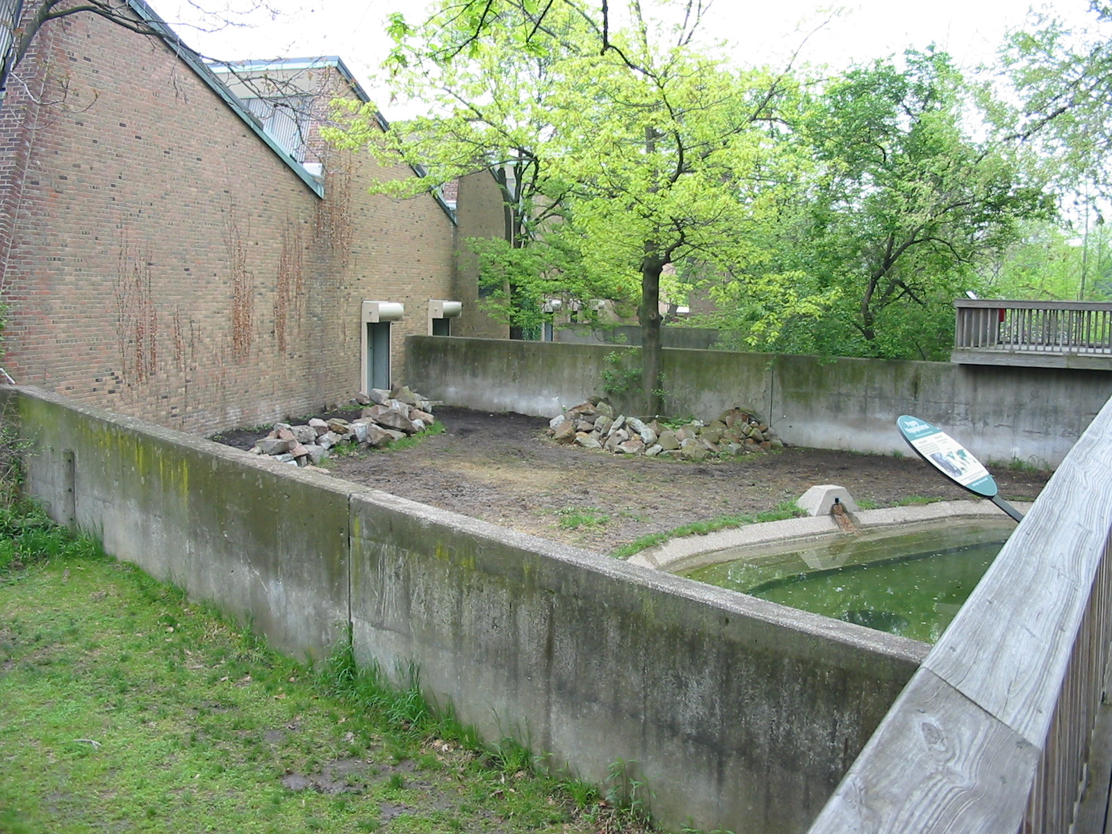 Cleveland Zoo 2003 - Pygmy Hippopotamus exhibit at the old Pachyderm House