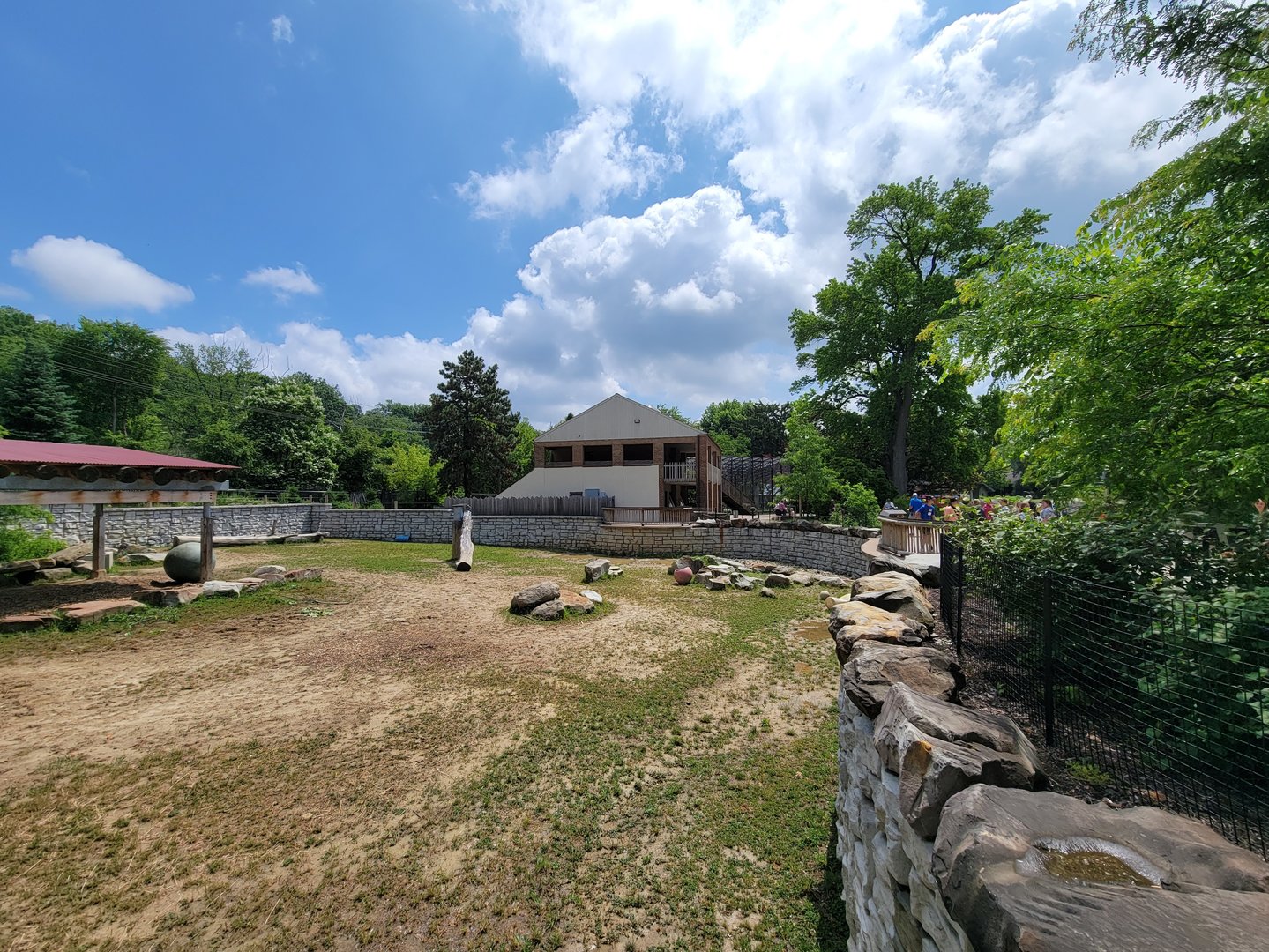 Cleveland Zoo - Africa, Eastern black rhino